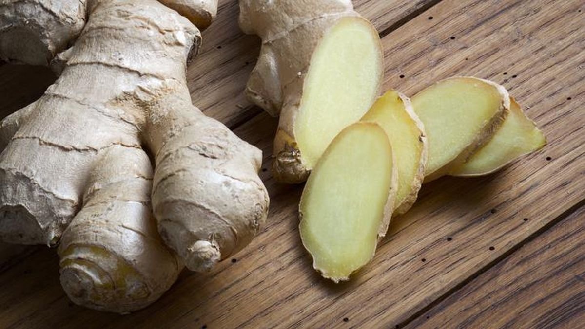 Elephant Ginger (Jahe Gajah) Export Grade