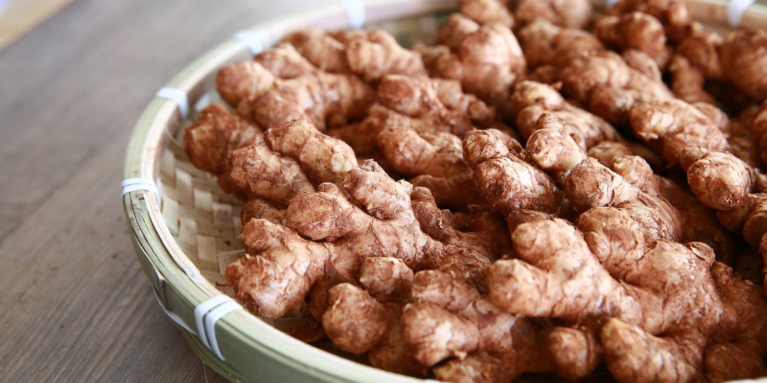 Small White Ginger (Jahe Emprit) Export Grade